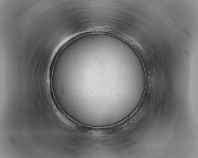 X0000114600792200911091316