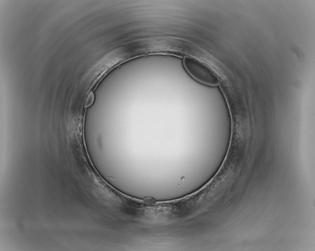 X0000114600793200911091316