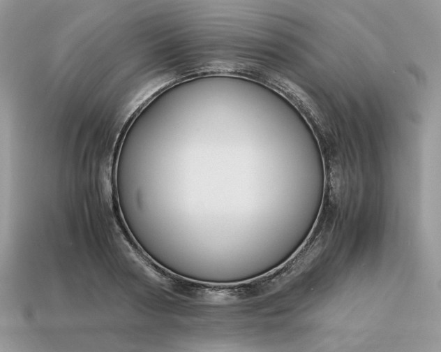 X0000114600794200911091316