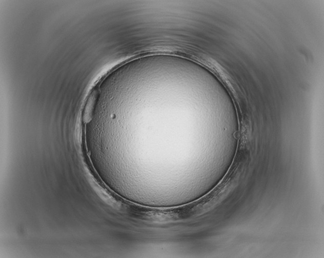 X0000114600795200911091316