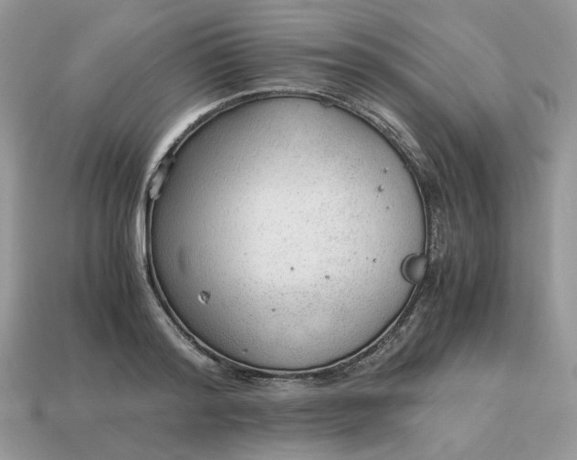 X0000114600796200911091316