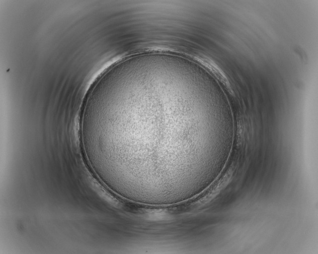 X0000114600798200911091316