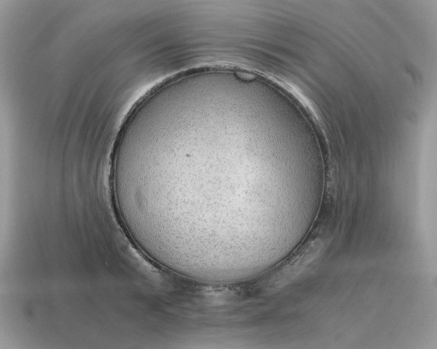 X0000114600799200911091316