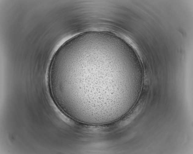 X0000114600803200911091316