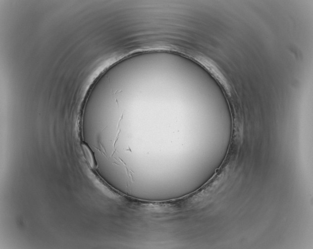 X0000114600805200911091316