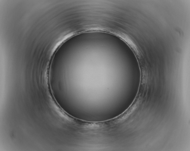 X0000114600806200911091316