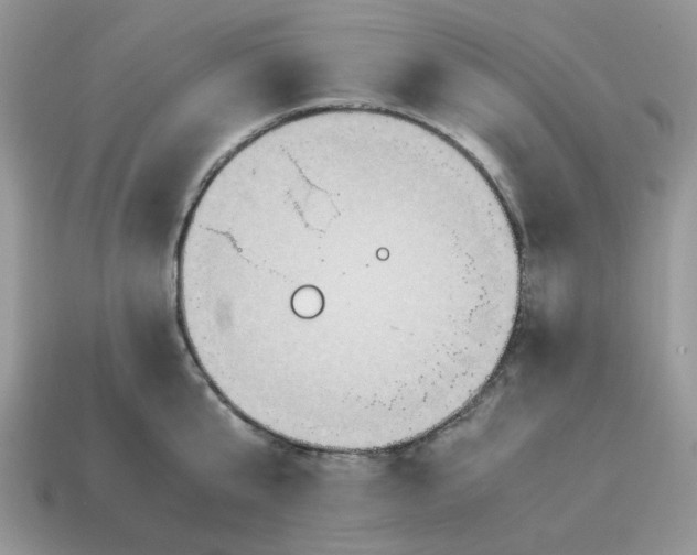 X0000114600807200911091316