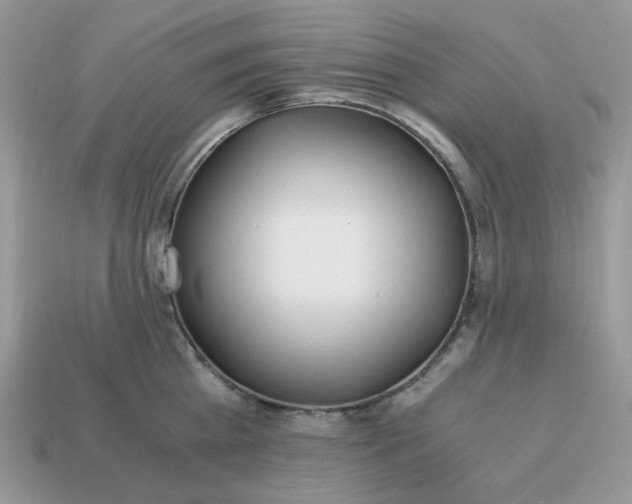 X0000114600809200911091316