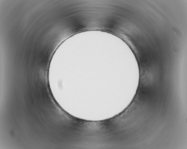 X0000114600810200911091316