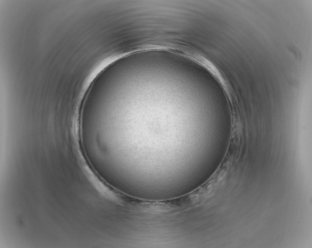 X0000114600811200911091316