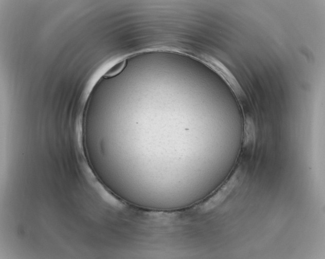 X0000114600812200911091316