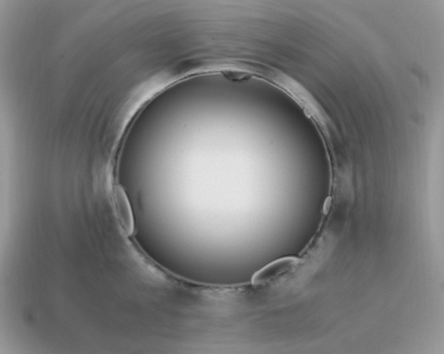 X0000114600813200911091316