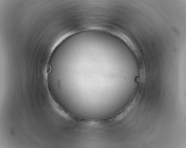 X0000114600814200911091316