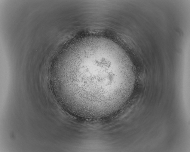 X0000114600817200911091315