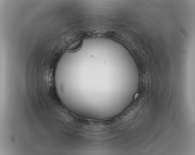 X0000114600818200911091315