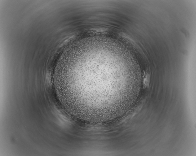 X0000114600819200911091315