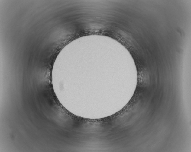 X0000114600820200911091315