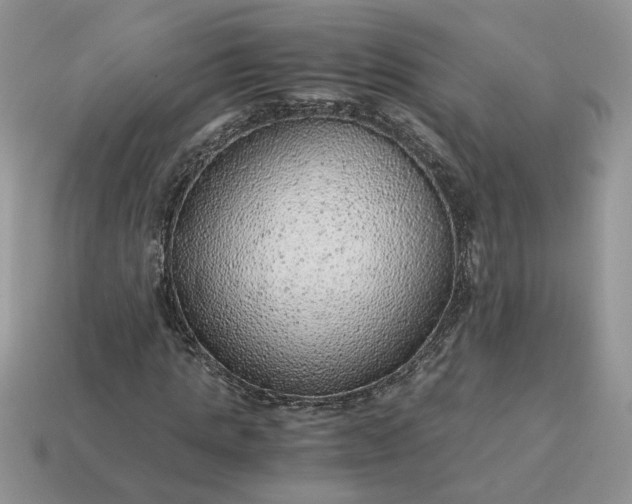 X0000114600821200911091315