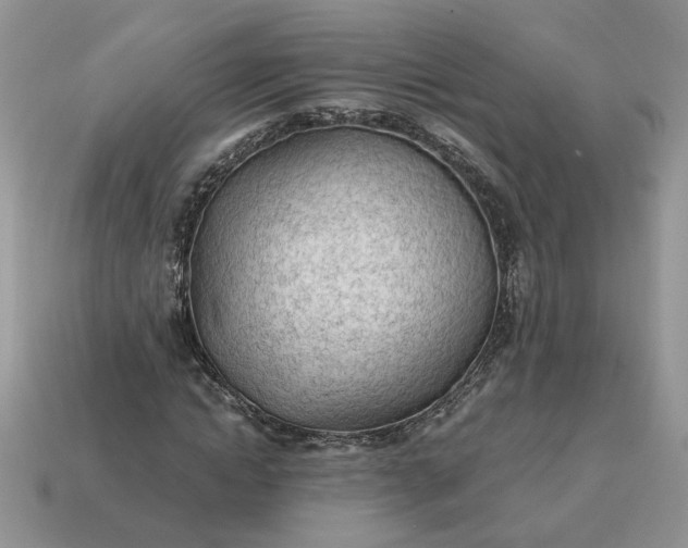 X0000114600822200911091315