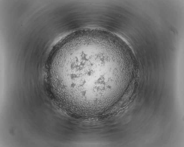 X0000114600823200911091315