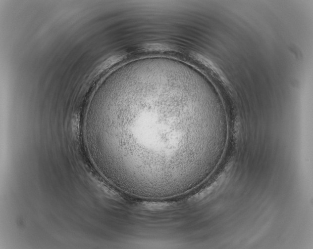 X0000114600825200911091315