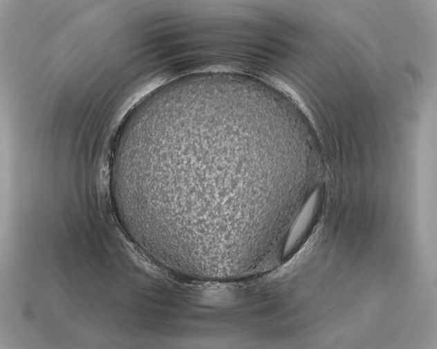 X0000114600827200911091315