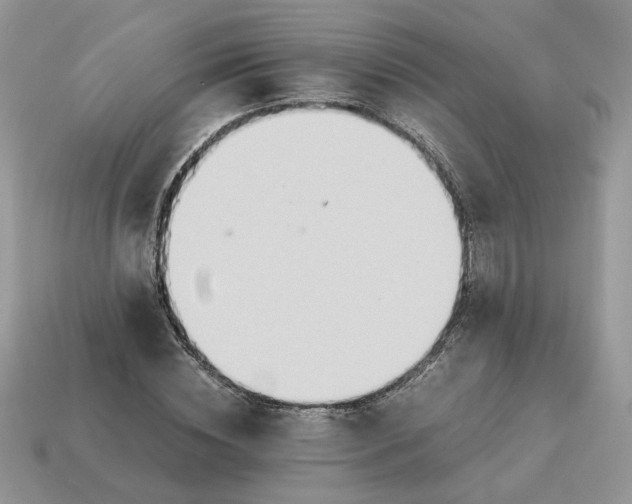 X0000114600828200911091315