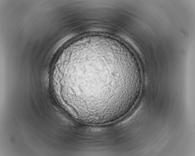 X0000114600829200911091315