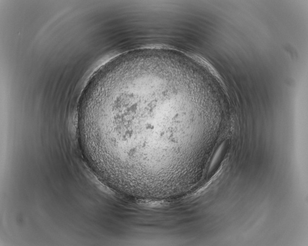 X0000114600831200911091315