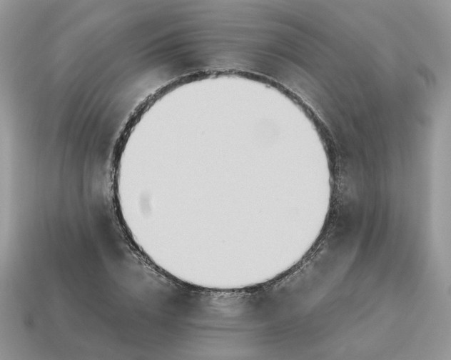 X0000114600832200911091315