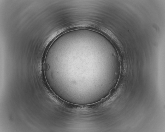 X0000114600834200911091315