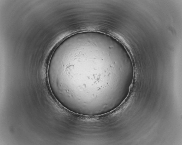 X0000114600835200911091315