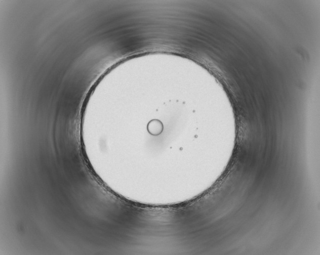 X0000114600836200911091315