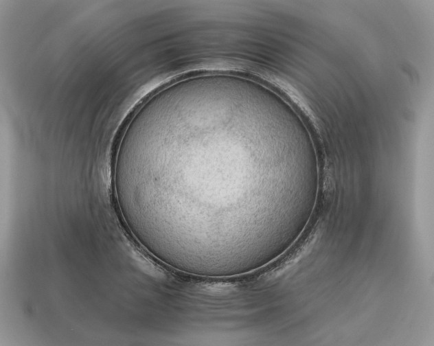 X0000114600837200911091315