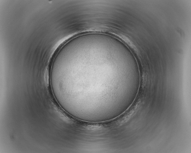 X0000114600838200911091315