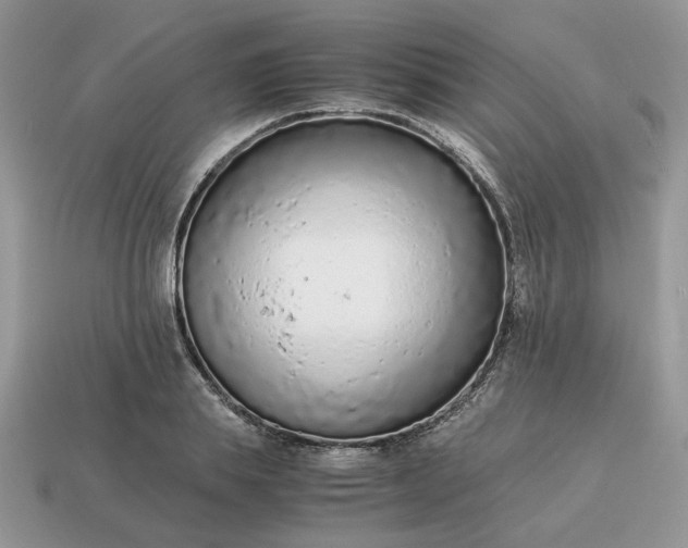 X0000114600839200911091315