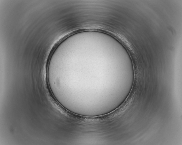 X0000114600840200911091315