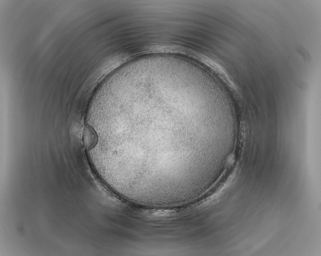 X0000114600841200911091316