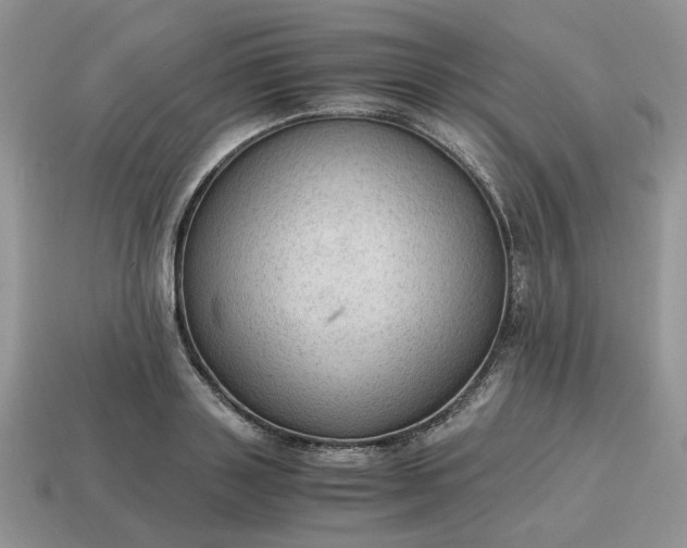 X0000114600843200911091316