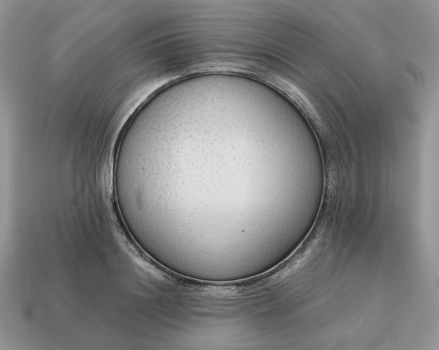 X0000114600844200911091316