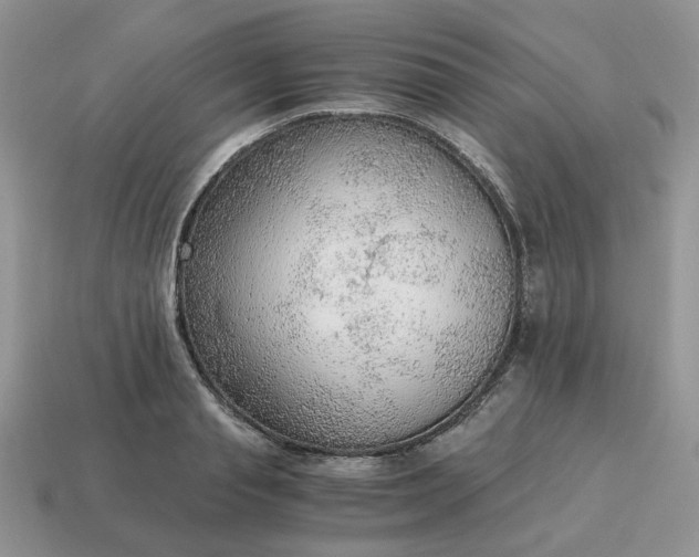 X0000114600845200911091316