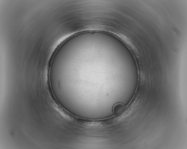 X0000114600846200911091316