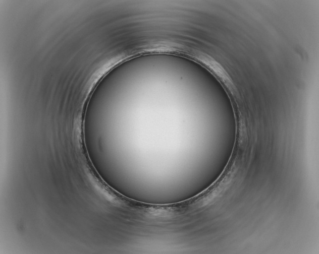 X0000114600850200911091316