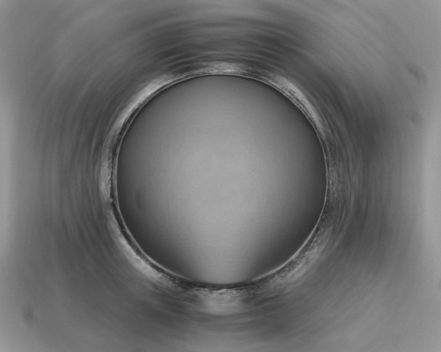 X0000114600851200911091316