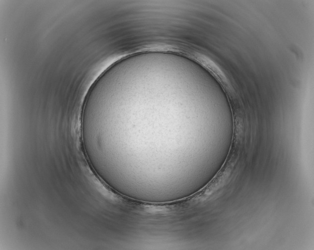 X0000114600852200911091316