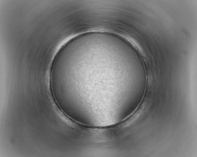 X0000114600854200911091316