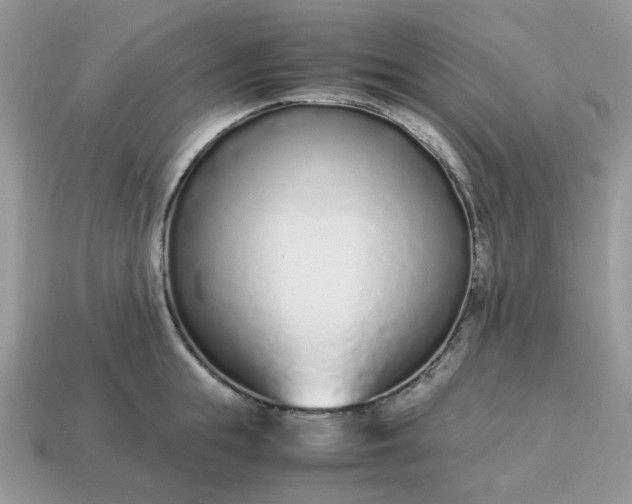 X0000114600855200911091316