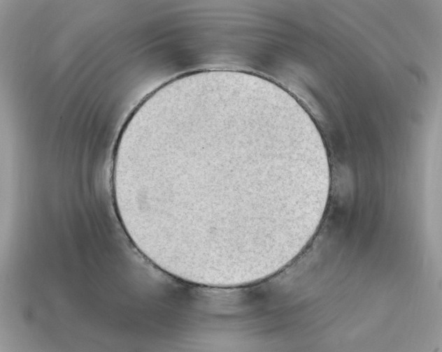 X0000114600856200911091316