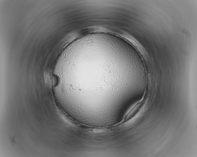 X0000114600857200911091316