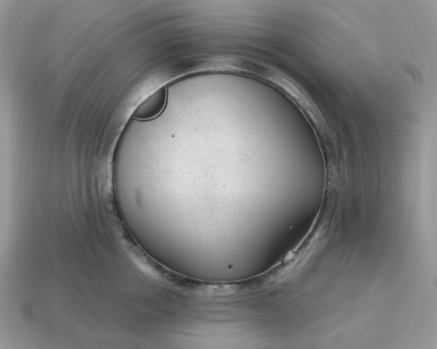 X0000114600858200911091316